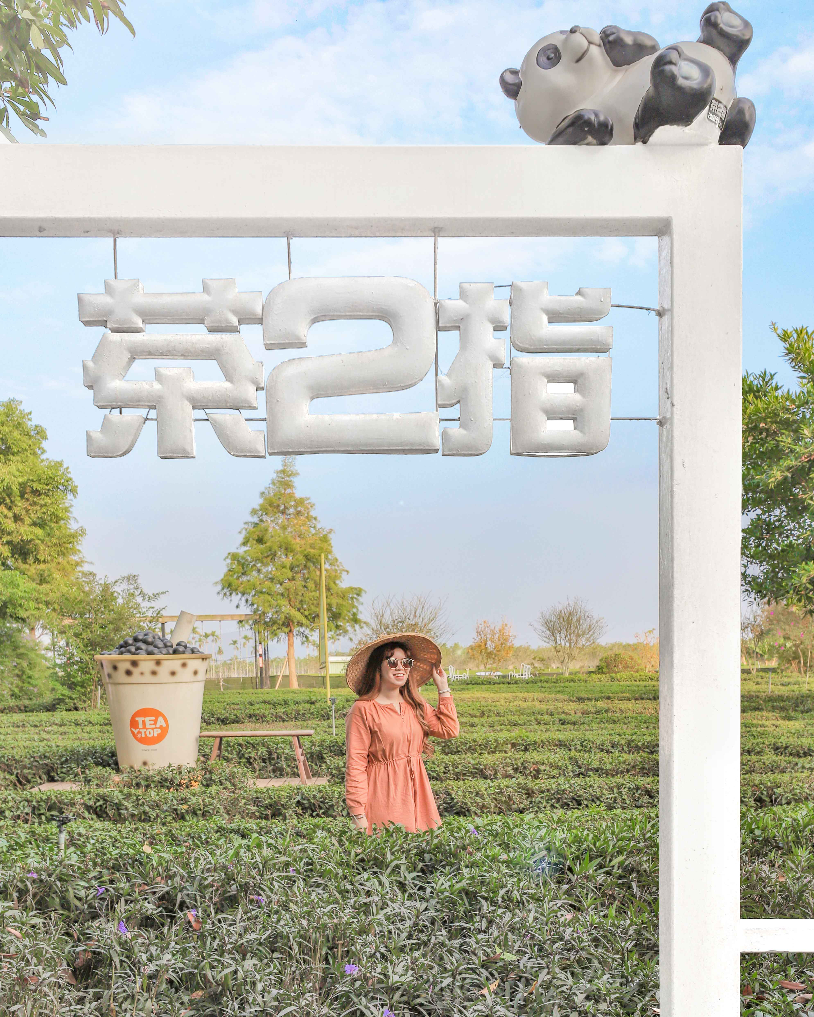 茶園大相框圖片