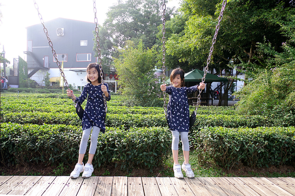 茶園盪鞦韆圖片