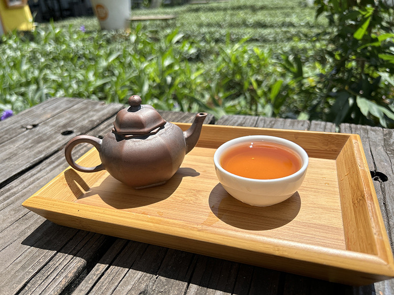 人氣首選茶禮