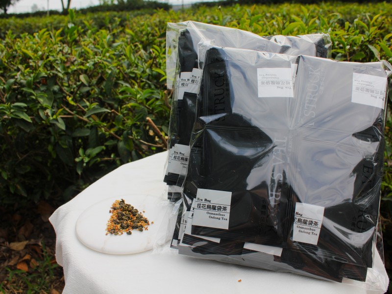 桂花烏龍袋茶 100入