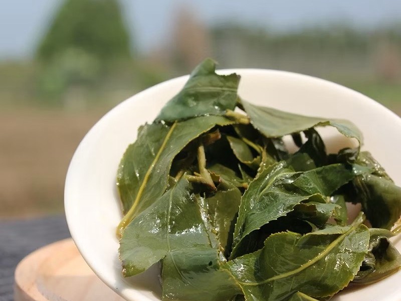 金蝶系列-暢銷茶禮