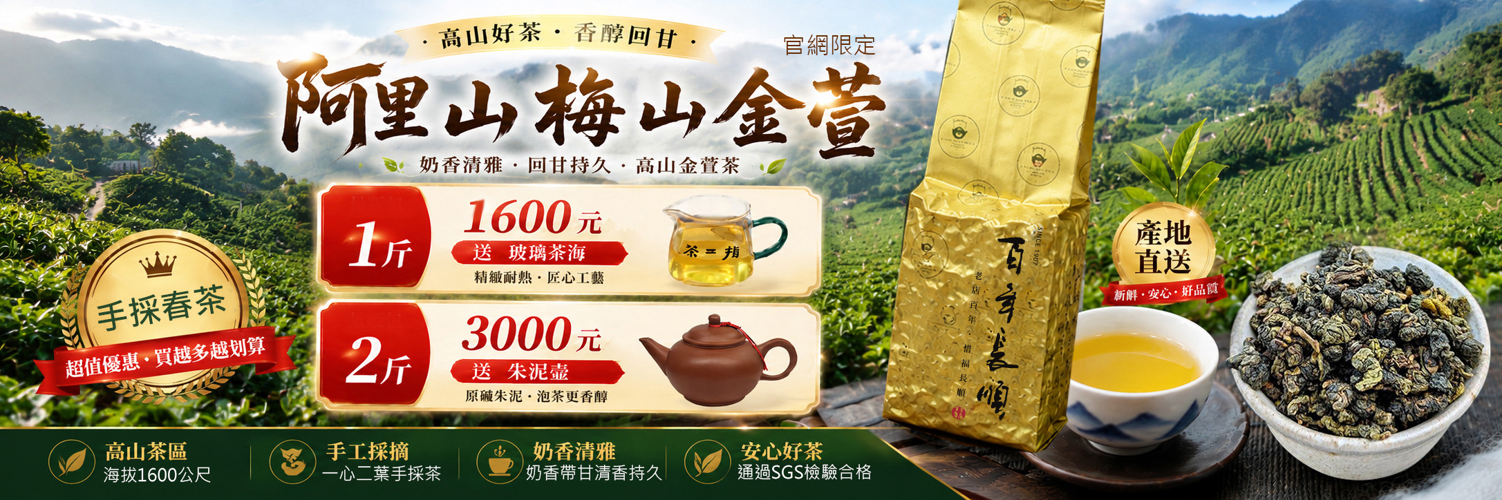 阿里山梅山金萱春茶新品