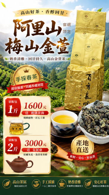 阿里山梅山金萱春茶新品